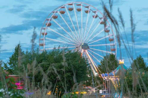 Baumblütenfest 2026